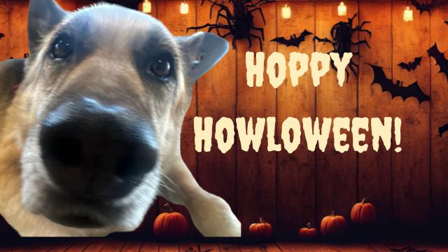 Hoppy Howl-o-ween!