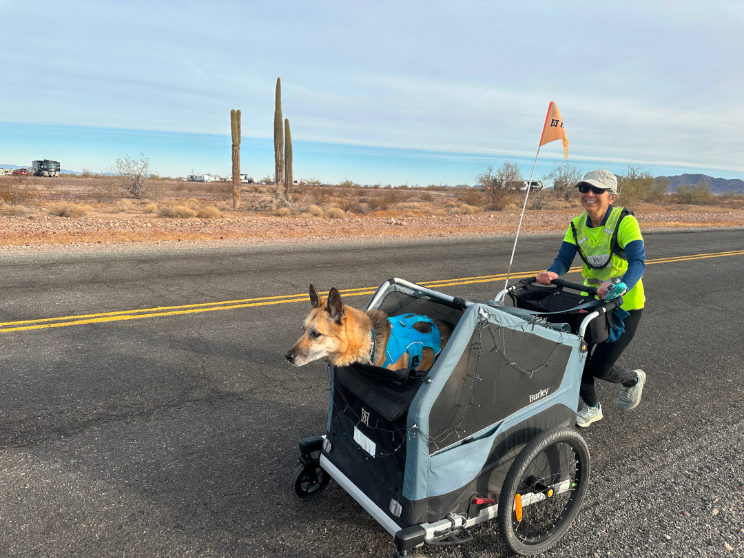 Our One-in-a-Million Canine Co-Pilot